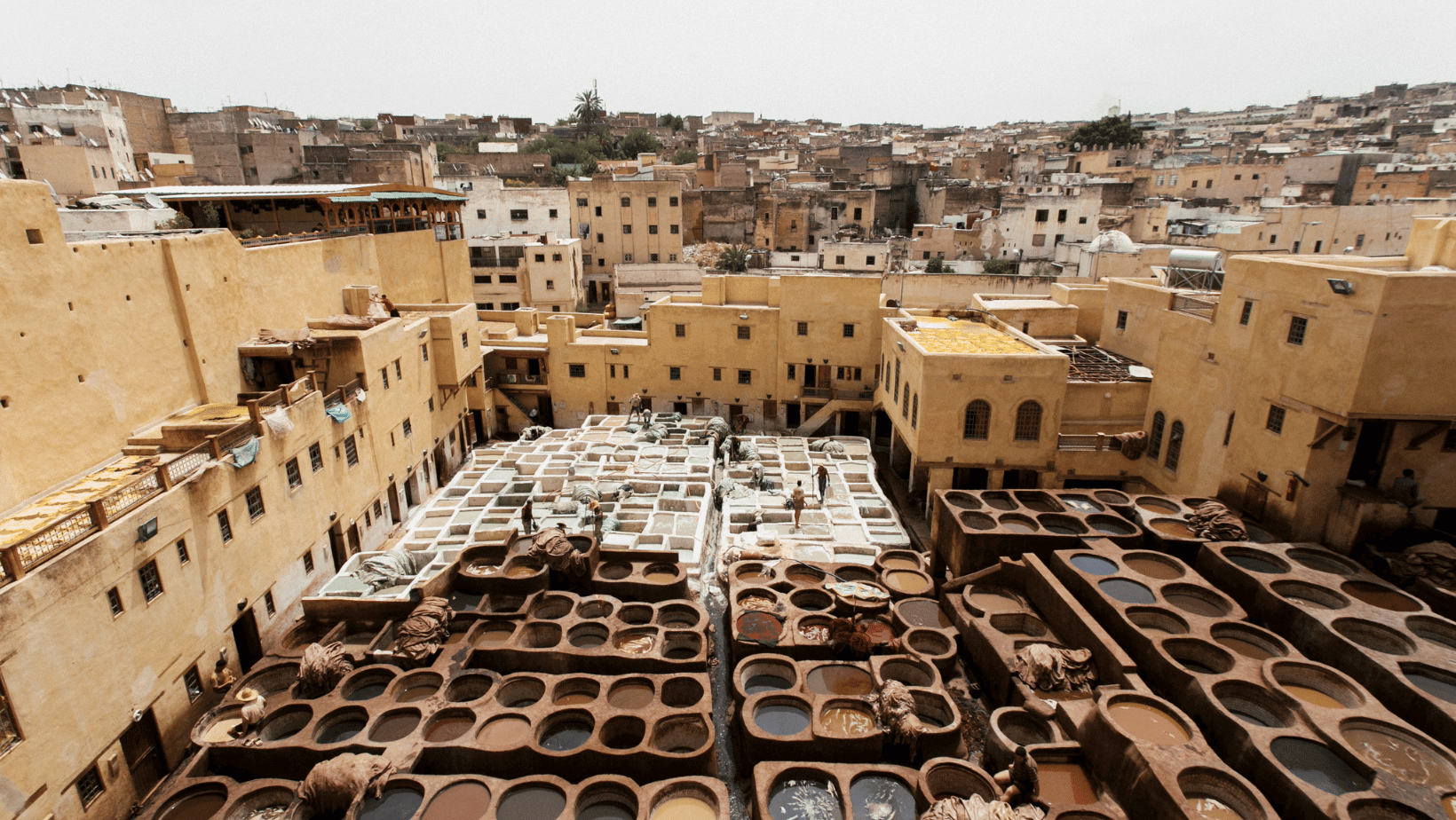 9 days from Marrakech to Desert and Fes